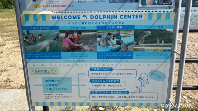 香川日本ドルフィンセンターの体験プログラム