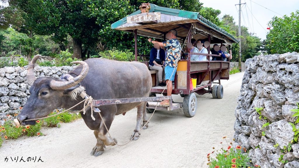 竹富島の水牛車ツアー（当日予約なしでもOK）