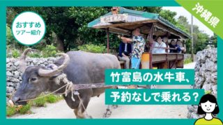 【竹富島】水牛車ツアーのおすすめ｜当日予約なしでも乗れるの？
